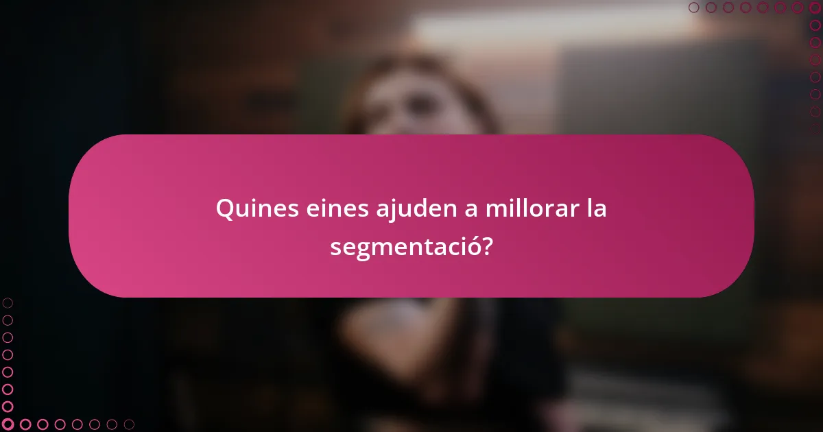 Quines eines ajuden a millorar la segmentació?